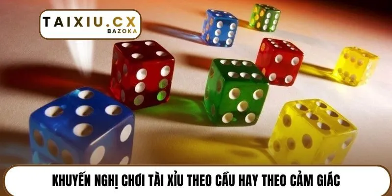 Khuyến nghị chơi tài xỉu theo cầu hay theo cảm giác