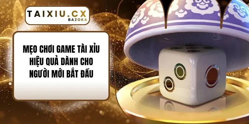 Mẹo Chơi Game Tài Xỉu Hiệu Quả Dành Cho Người Mới Bắt Đầu